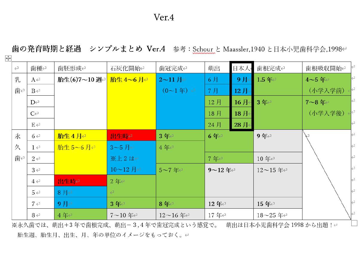 歯胚形成、石灰化開始、歯冠完成、萌出、歯根完成などを色分けして整理したスライド資料